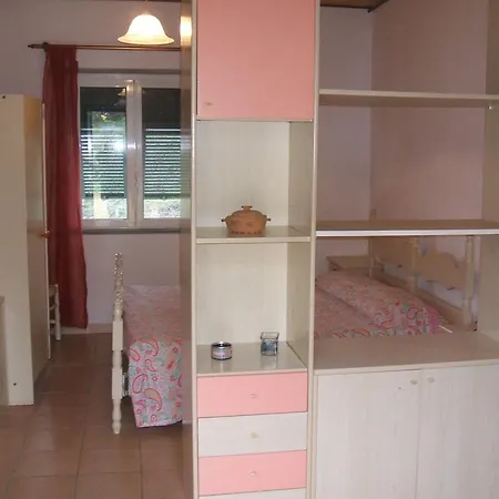 Case Virgi