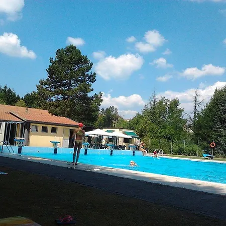 Case Virgi