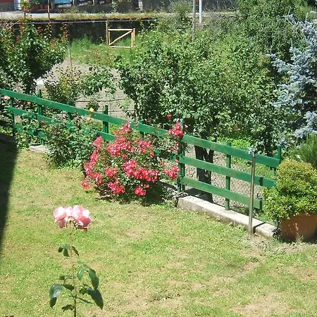 Case Virgi